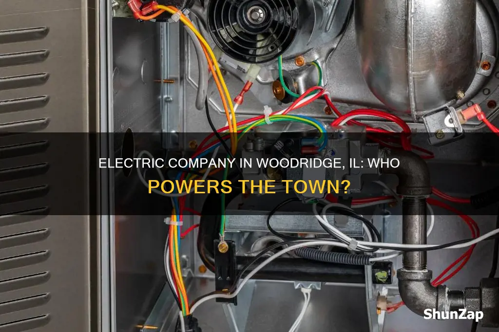 what is the electric company in woodridge il