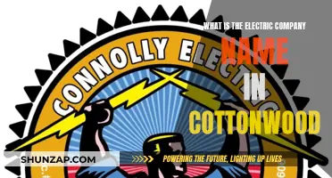 Electric Company Services in Cottonwood: Who Powers the Town?