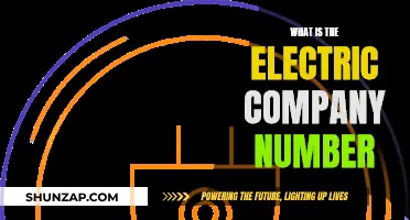 Unraveling the Mystery: What's the Deal with Electric Company Numbers?