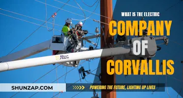 Who Powers Corvallis? Unveiling the City's Electric Company