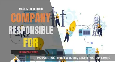 Electric Company Responsibilities: What's Under Their Jurisdiction?