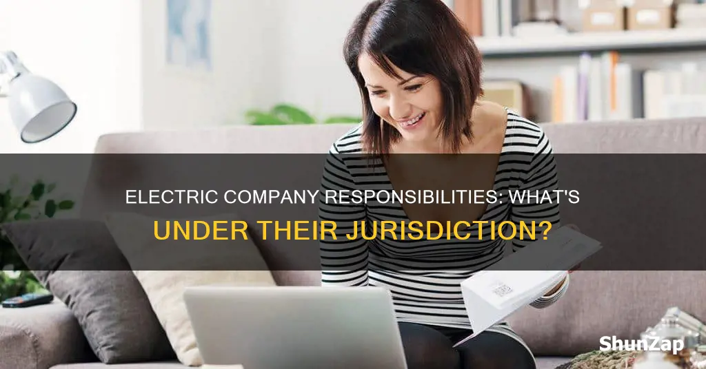 what is the electric company responsible for