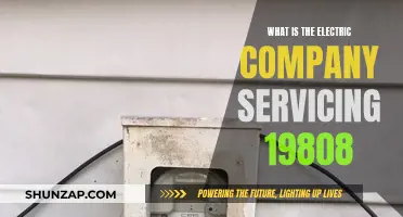 Electric Company Servicing 19808: Who's Your Provider?