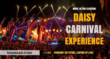 The Electric Daisy Carnival: An Unforgettable Experience
