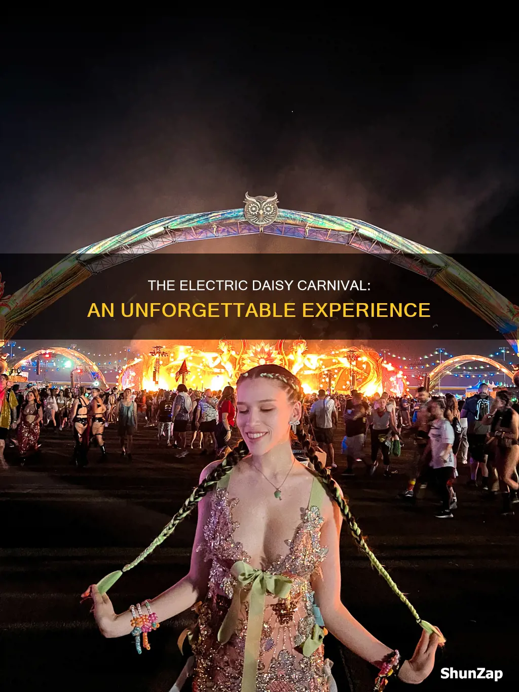 what is the electric daisy carnival experience