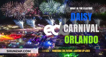 Electric Daisy Carnival Orlando: A Magical Festival Experience