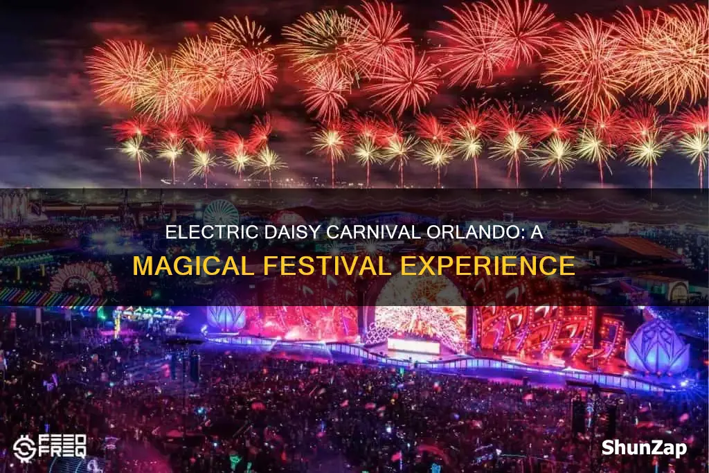 what is the electric daisy carnival orlando