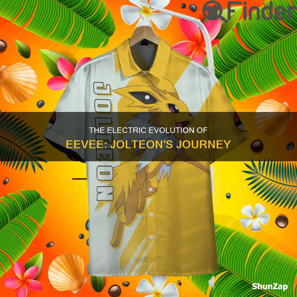 what is the electric evolution of eevee