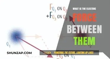 Understanding Electric Force and its Intricacies
