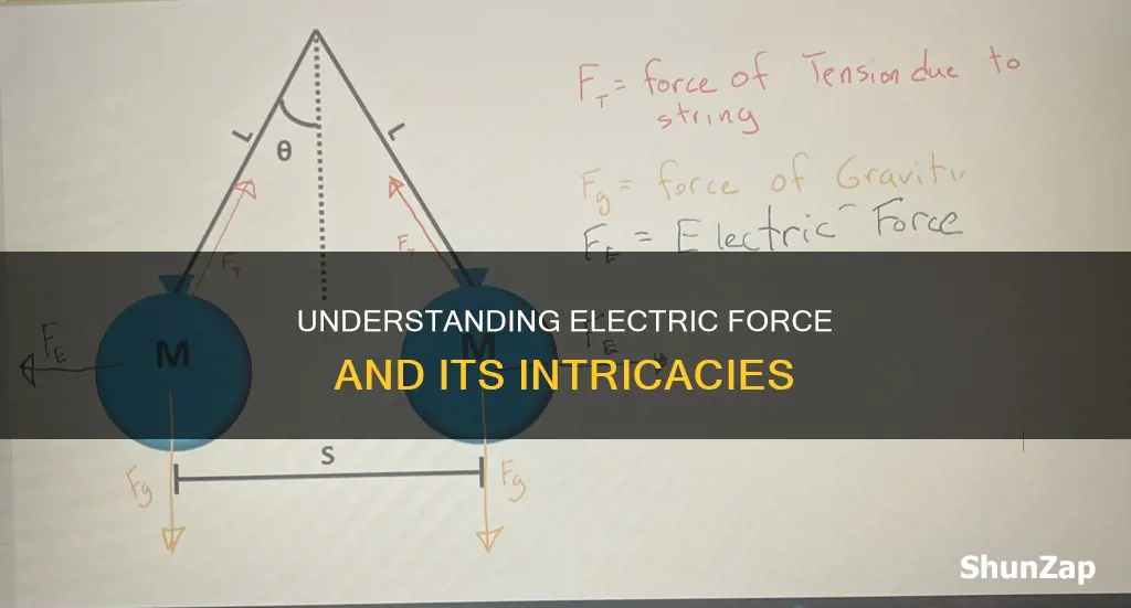 what is the electric force between them