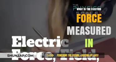 The Electric Force: Measured in Newtons