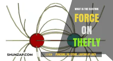 How Electric Force Affects Flies