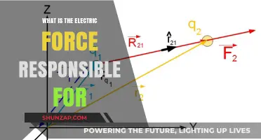 Electric Force: Powering Our World