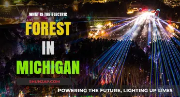 Michigan's Electric Forest: Music, Art, and Nature