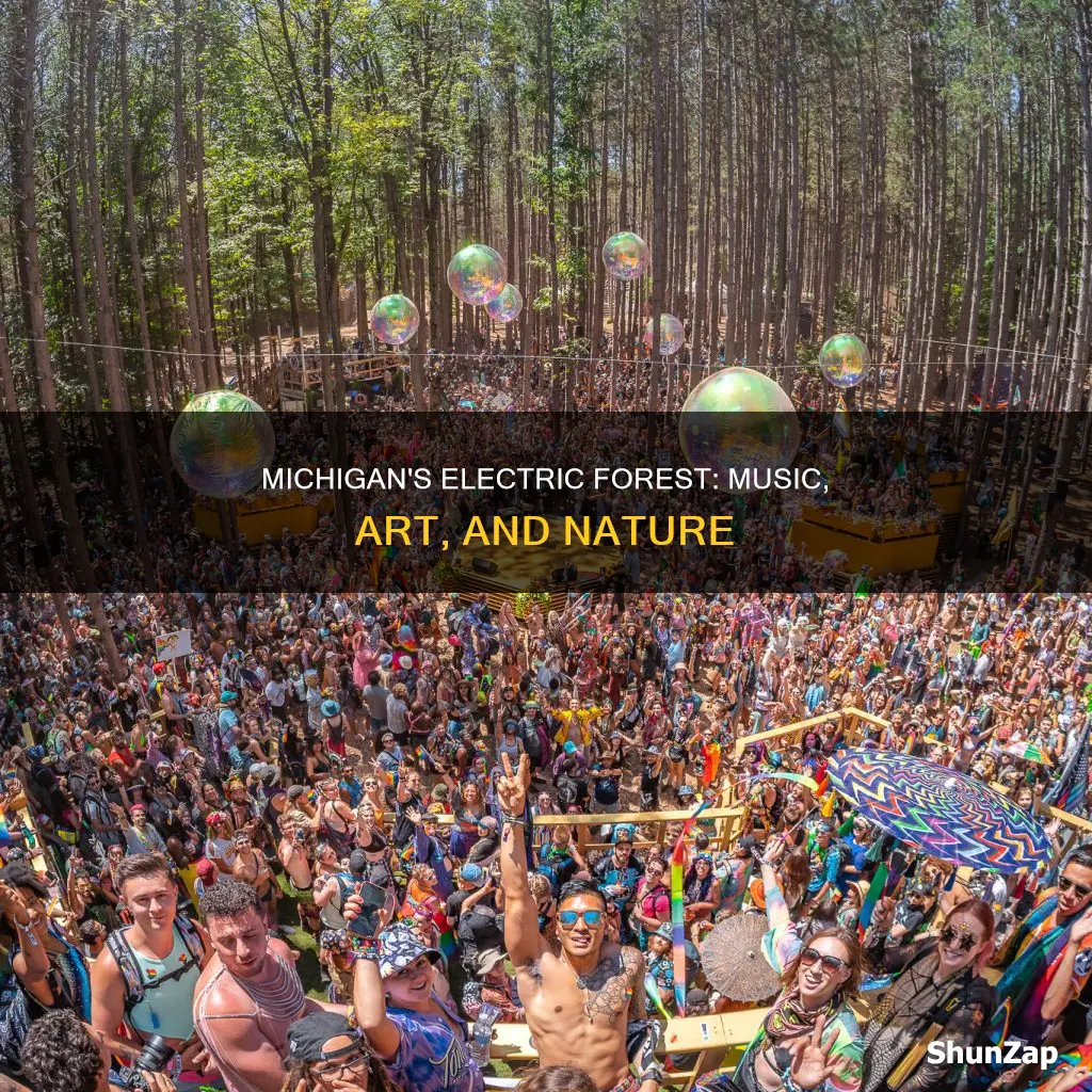 what is the electric forest in michigan