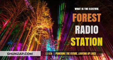 Electric Forest Radio: Music for the Soul