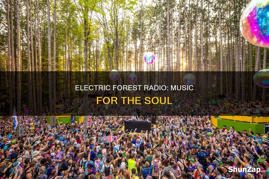 what is the electric forest radio station