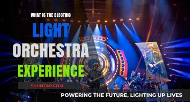 The Electric Light Orchestra Experience: A Musical Odyssey