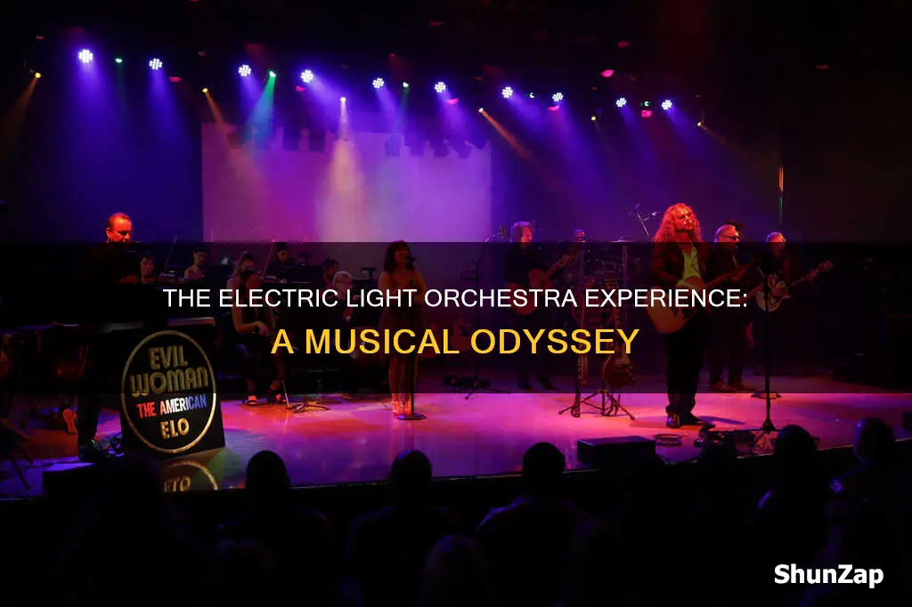 what is the electric light orchestra experience