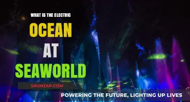 Electric Ocean: SeaWorld's Electrifying Nighttime Extravaganza