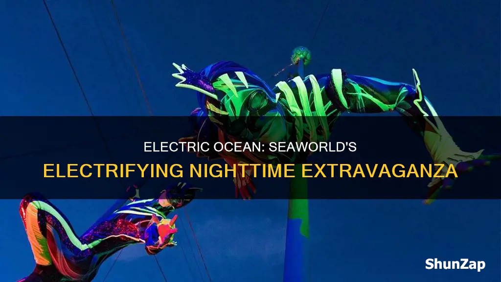 what is the electric ocean at seaworld