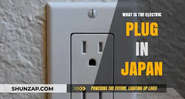Electric Plug Types in Japan: A Guide
