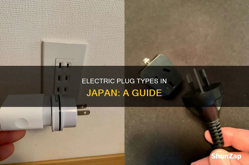 what is the electric plug in japan
