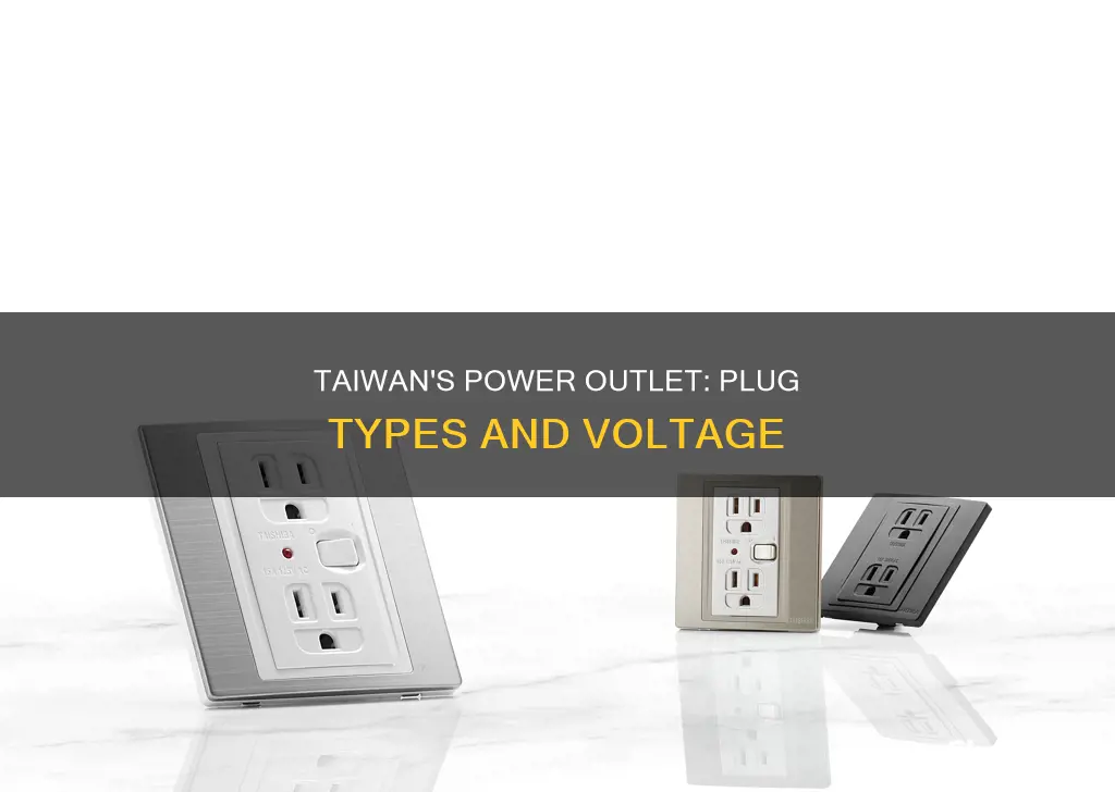 what is the electric plug in taiwan