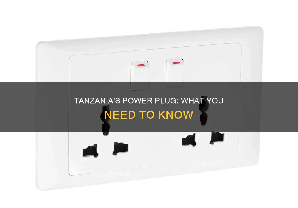 what is the electric plug in tanzania