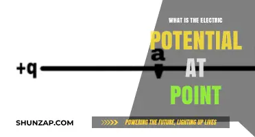 Understanding Electric Potential: Point Value Precision