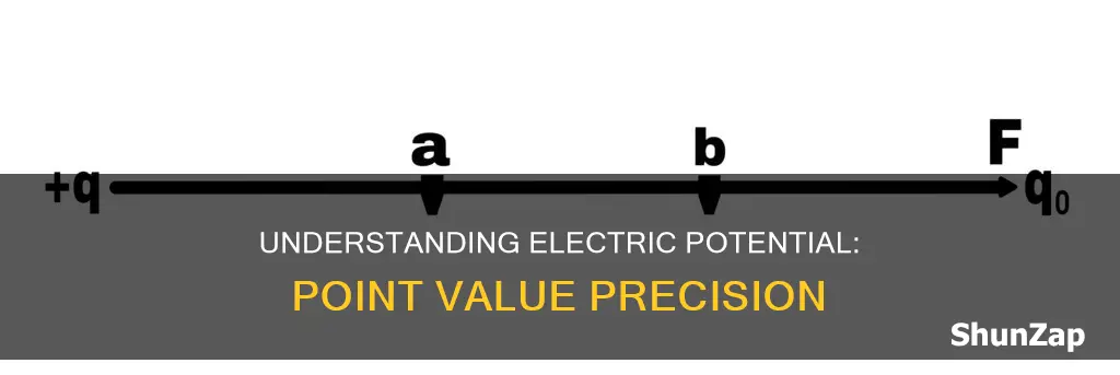what is the electric potential at point