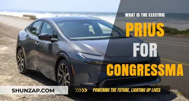 Congressman's Electric Prius: Green, Efficient, and Taxpayer-Funded?