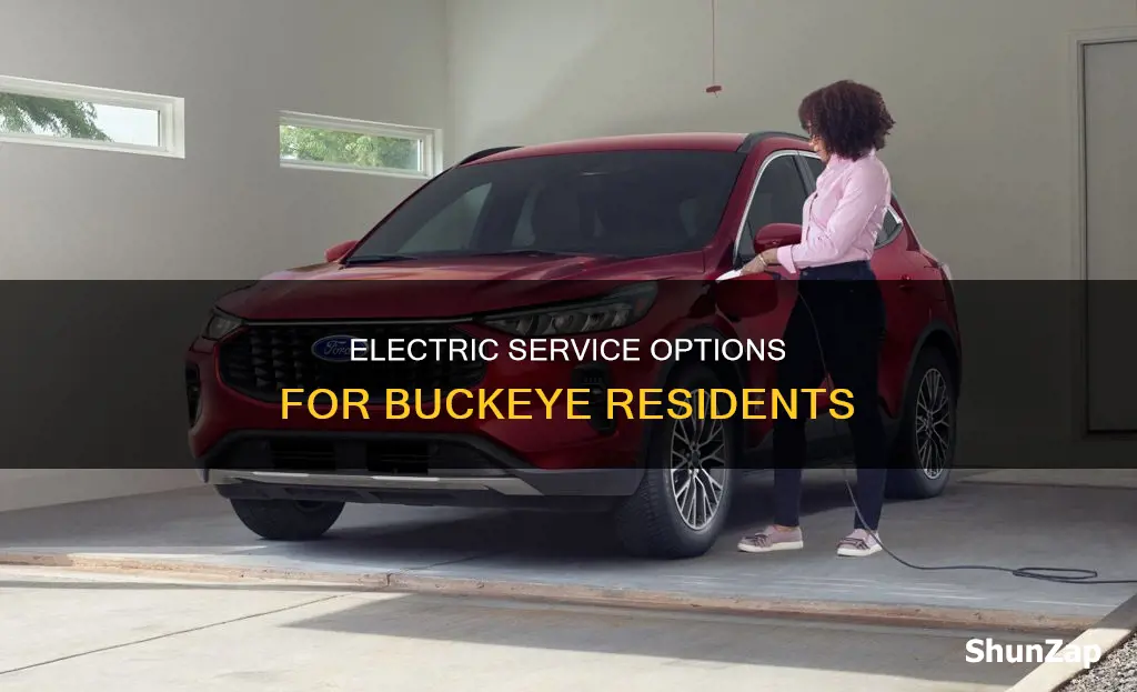 what is the electric service for buckeye