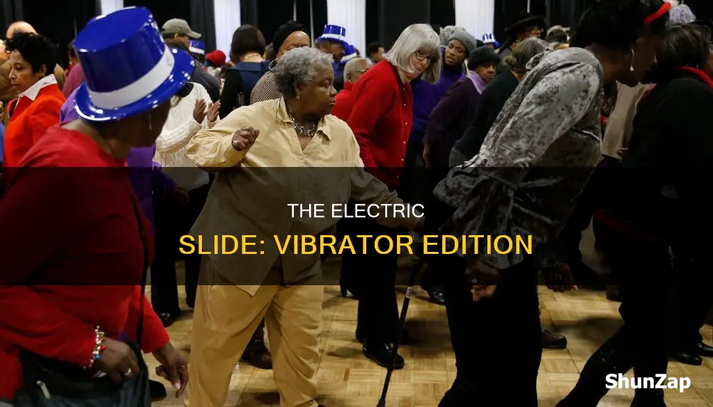 what is the electric slide about vibrator
