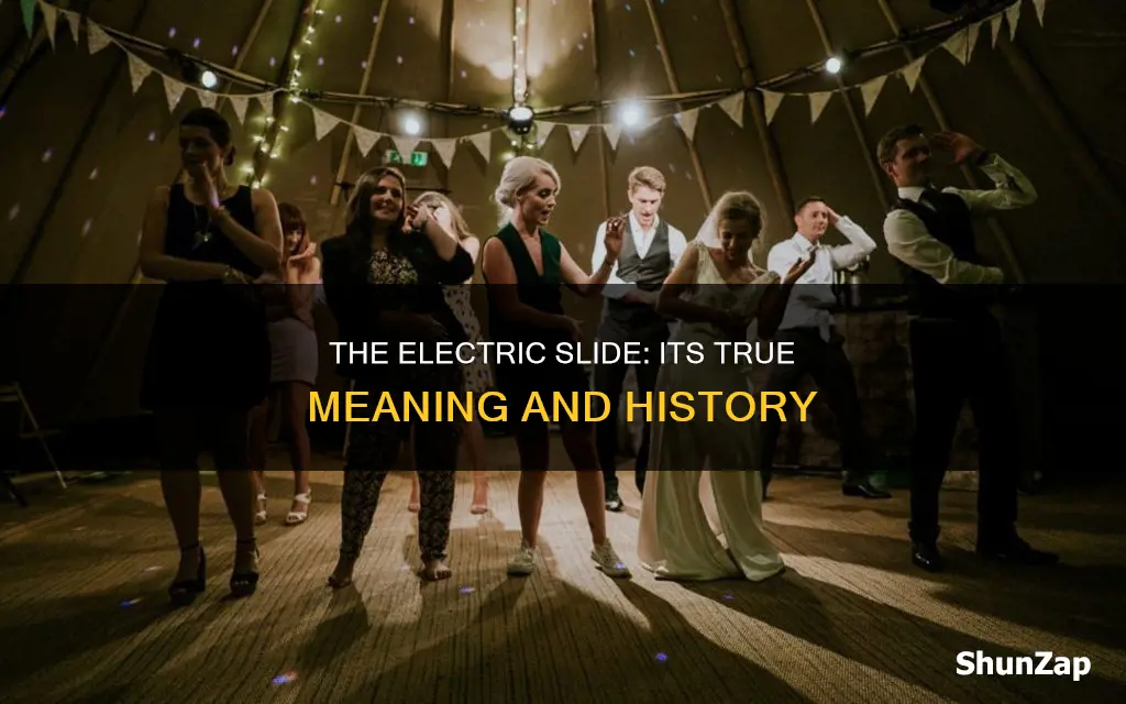 what is the electric slide actually about