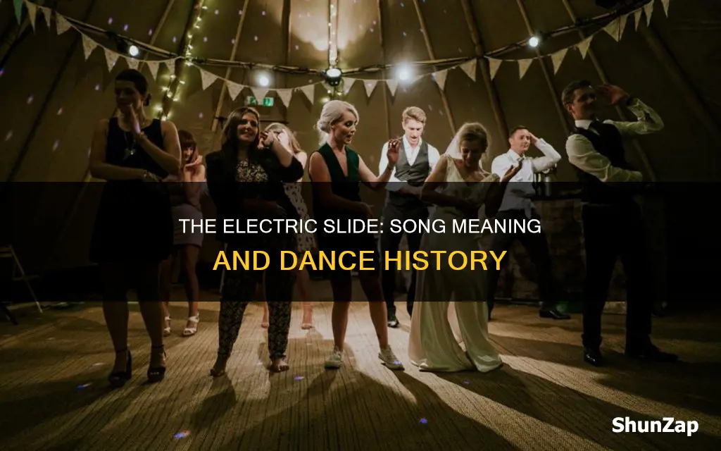 what is the electric slide singing about