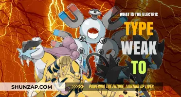 Electric Type's Achilles Heel: What's the Weakness?