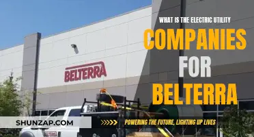 Belterra's Electric Utility: Powering the Community with Sustainable Energy Solutions