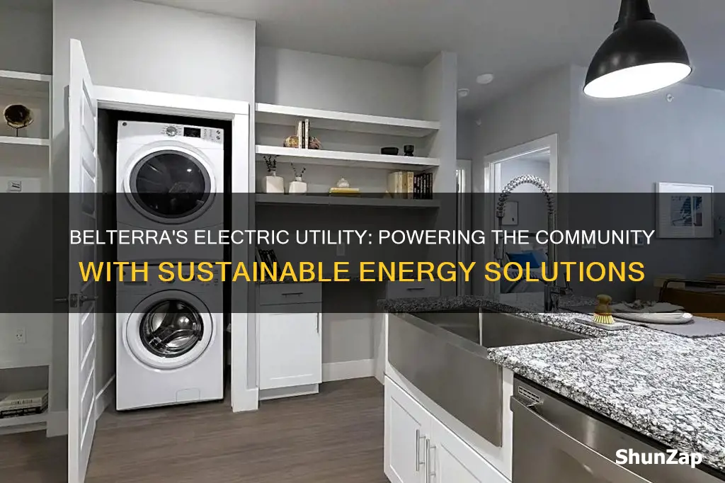 what is the electric utility companies for belterra