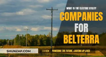 Belterra's Electric Utility Companies: Who Powers the Community?