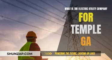 Who Powers Temple, GA? Electric Utility Company Explained