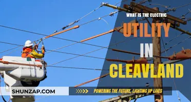 Cleveland's Electric Utility: Who Powers the City?