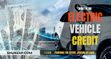 Electric Vehicle Credit: Understanding the Incentives for Buyers