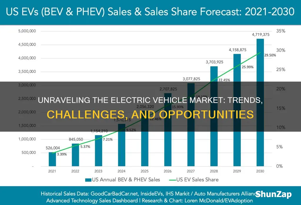 what is the electric vehicle market