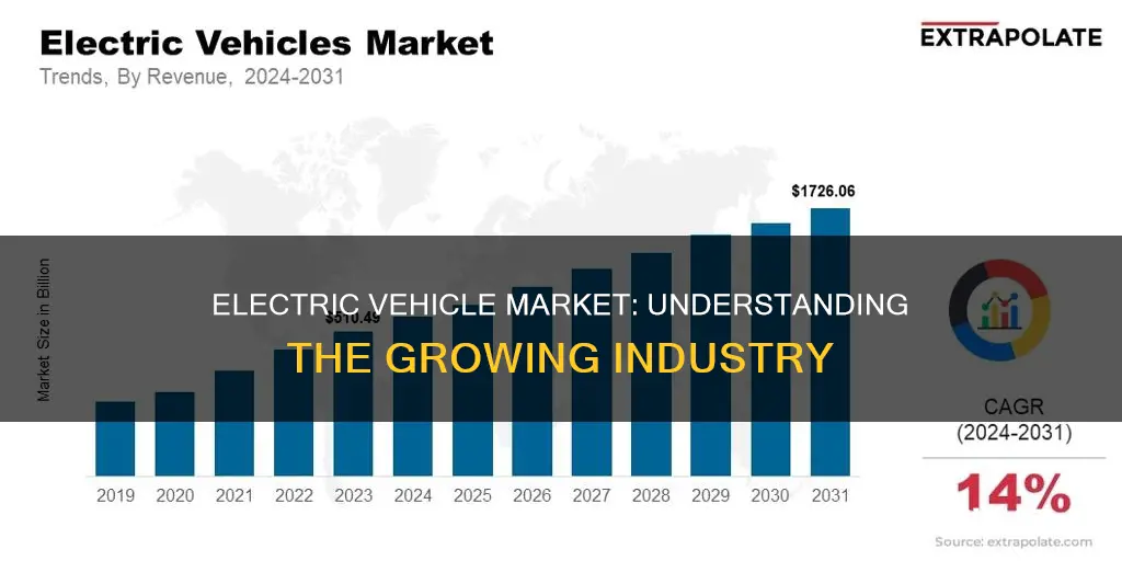 what is the electric vehicle market