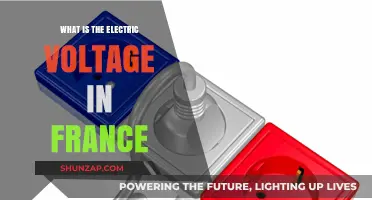 Voltage in France: Understanding the Electric Current