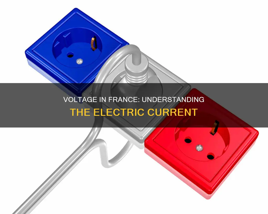 what is the electric voltage in france