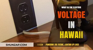 Voltage in Hawaii: How Much and Why?