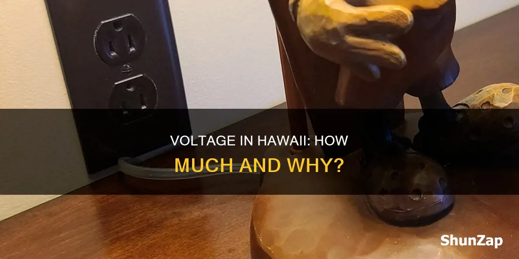 what is the electric voltage in hawaii
