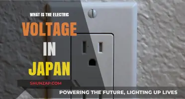 Voltage in Japan: Understanding the Electric Current Standard